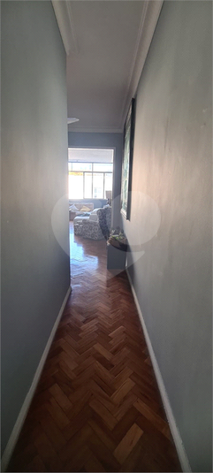 Foto REO709464