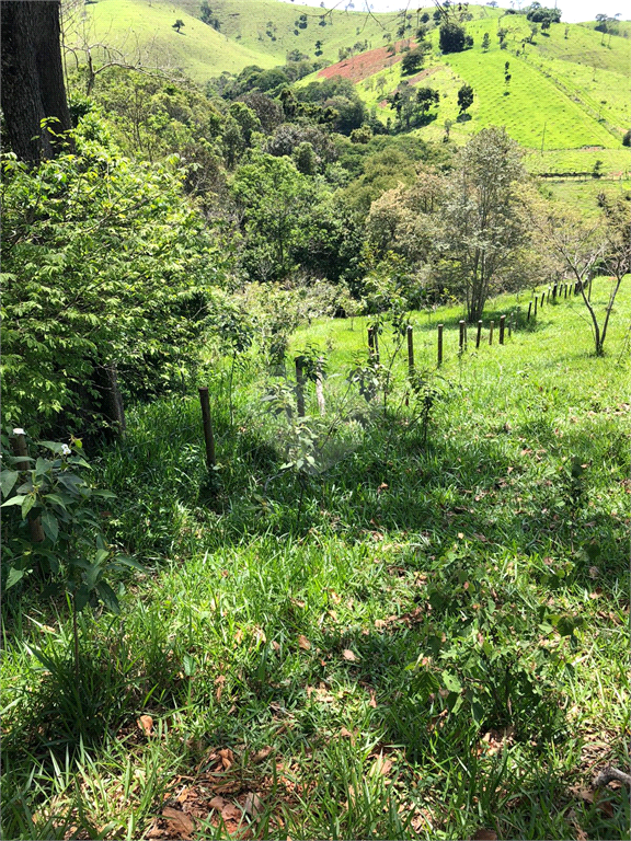 Venda Sítio Cunha Centro REO709498 34