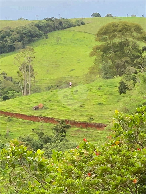 Venda Sítio Cunha Centro REO709498 21