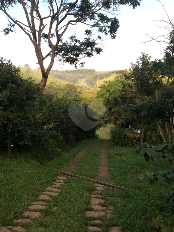 Venda Sítio Cunha Centro REO709498 41