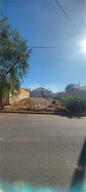 Venda Terreno Araraquara Jardim Pinheiros (vila Xavier) REO709532 6