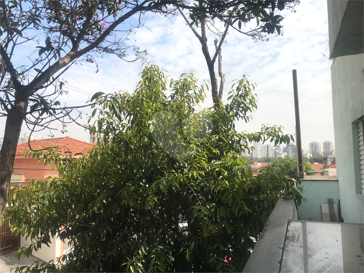 Foto REO709660