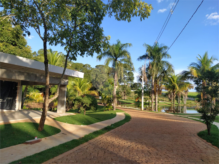 Foto REO709697