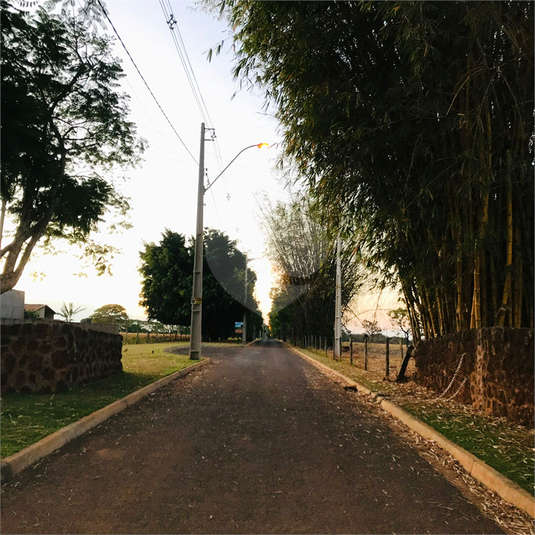 Foto REO709697