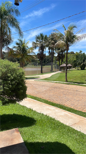 Foto REO709697