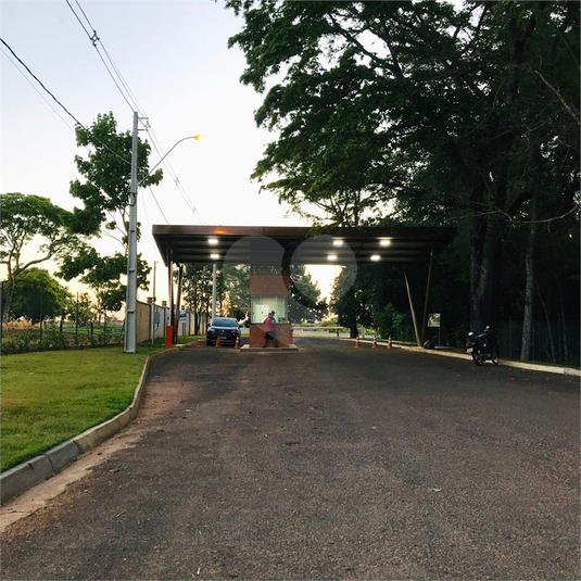 Foto REO709697