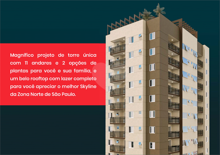 Foto REO710565