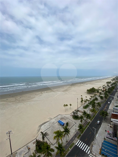 Foto REO710646