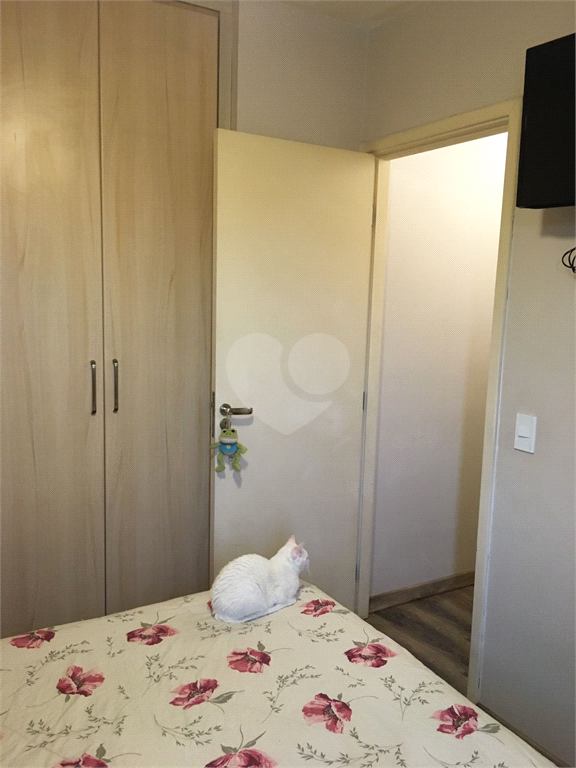 Venda Apartamento São Paulo Vila Jaguara REO710663 21