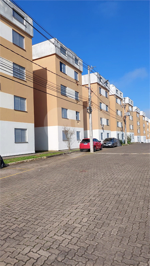 Venda Condomínio Gravataí Jansen REO710874 1