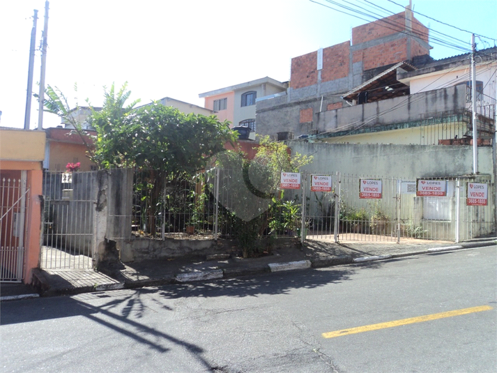 Foto REO711229
