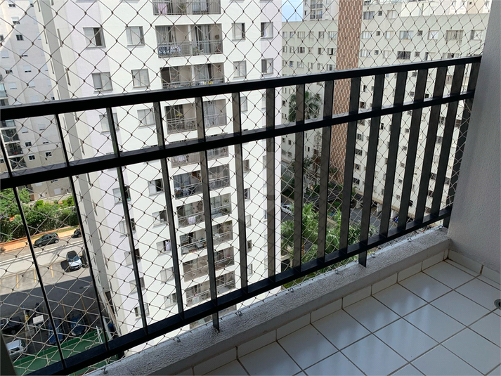 Foto REO711533