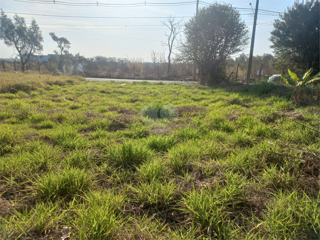 Venda Terreno São Carlos Vila Brasília REO711954 9