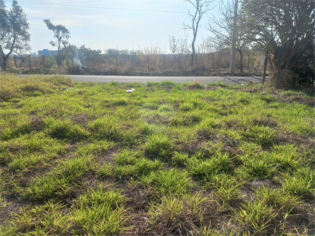 Venda Terreno São Carlos Vila Brasília REO711954 7