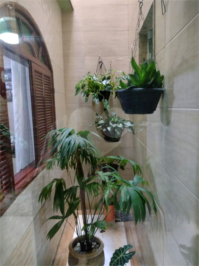 Foto REO712457