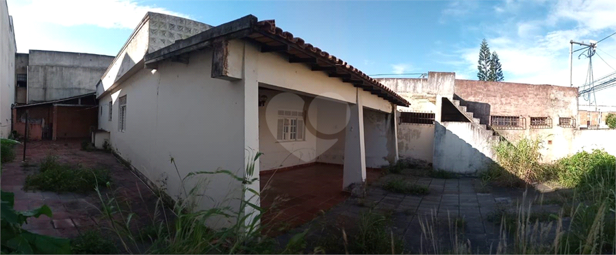 Foto REO712464