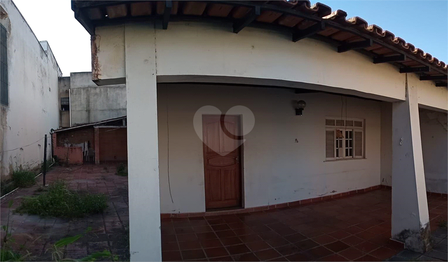 Foto REO712464