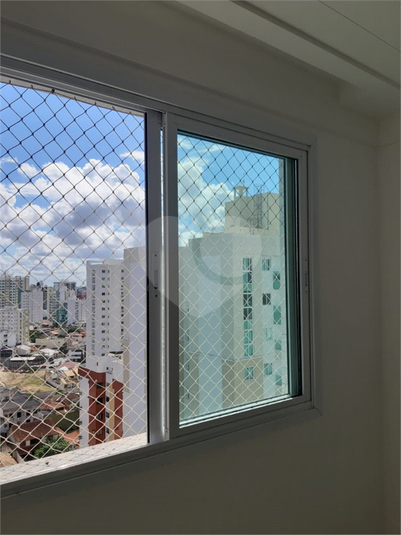 Foto REO712631