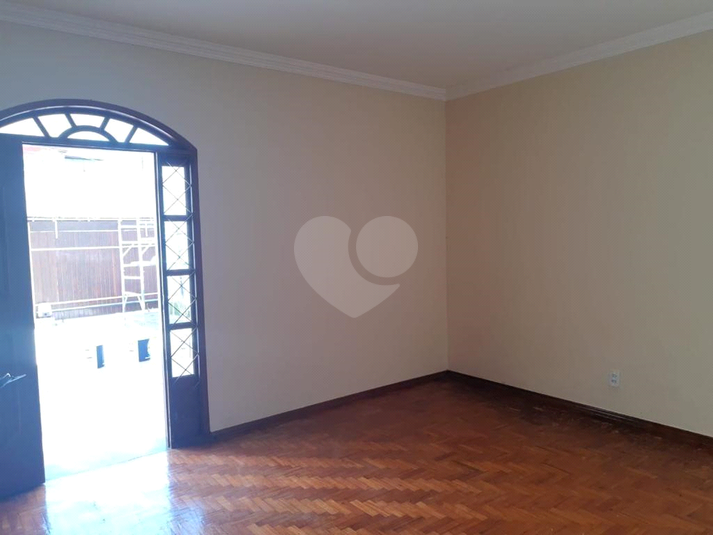 Foto REO712683