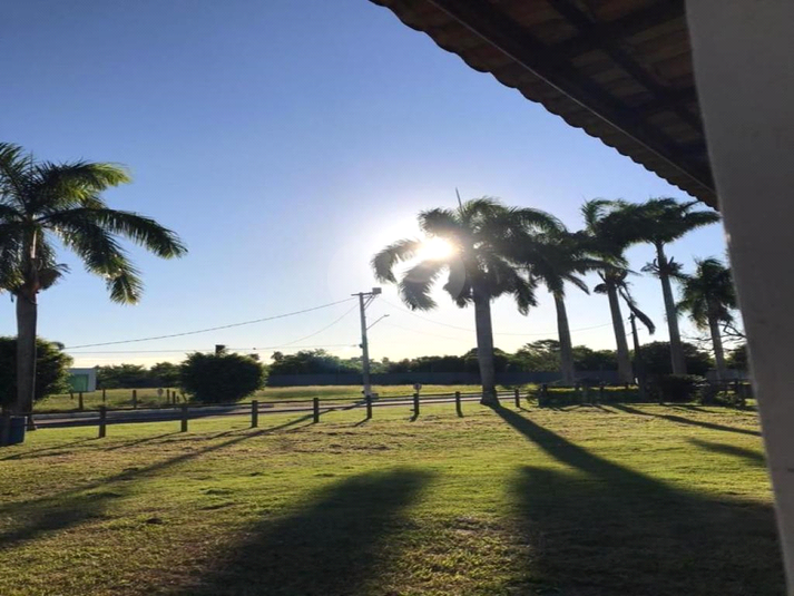 Foto REO712722
