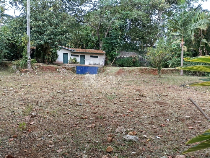 Foto REO712825
