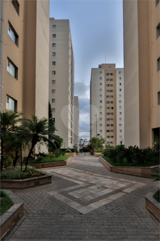 Venda Apartamento São Paulo Vila Butantã REO713258 19