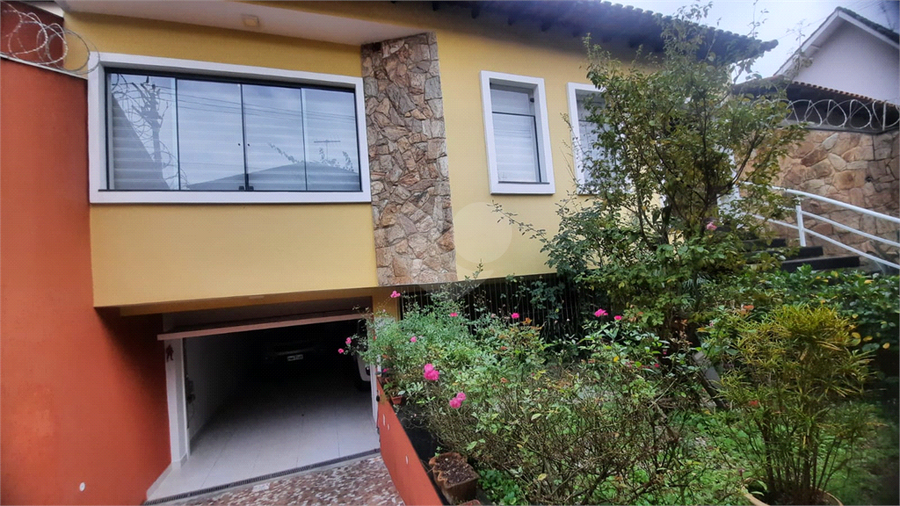 Foto REO713447