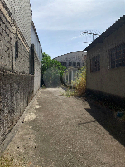 Foto REO713540