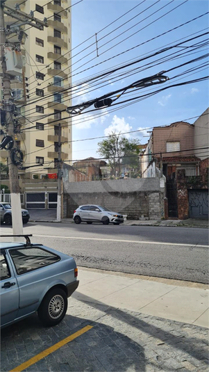Foto REO713648