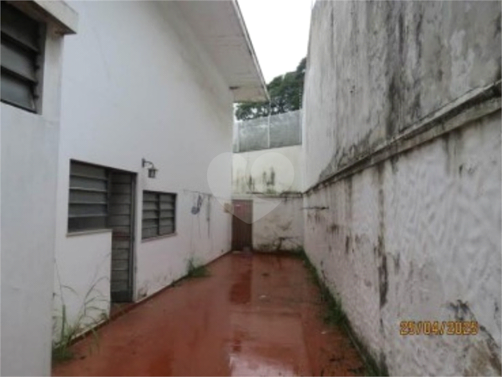 Foto REO713828
