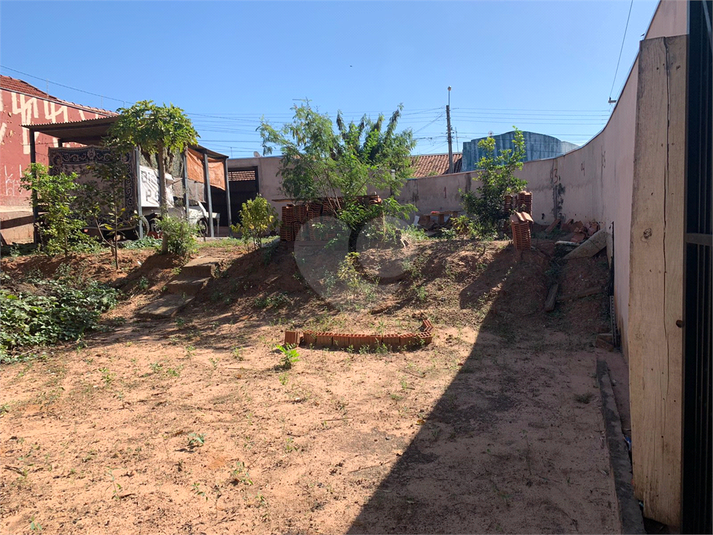 Foto REO713868