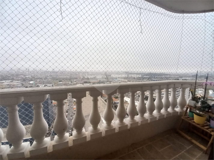 Foto REO713963