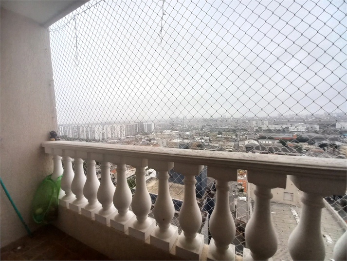 Foto REO713963