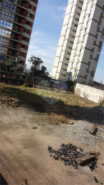 Venda Terreno Santo André Centro REO714154 13