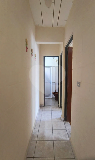 Foto REO714158
