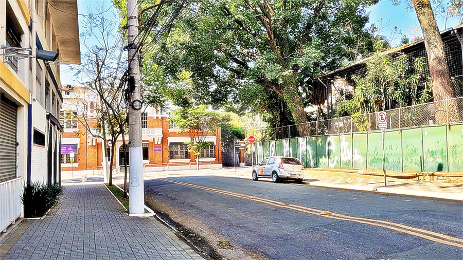 Foto REO714439