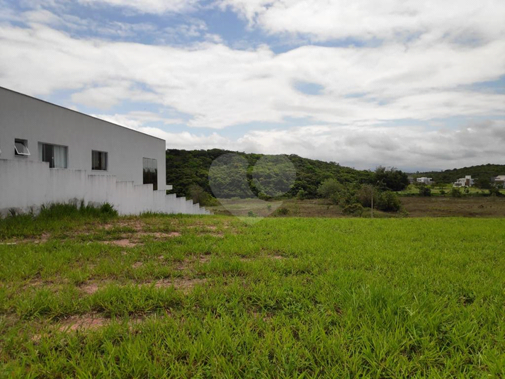 Foto REO715053