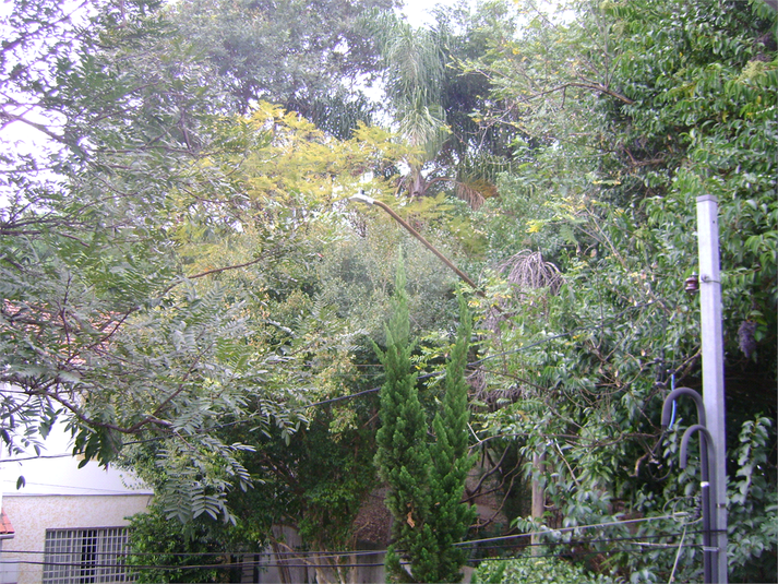 Foto REO715090