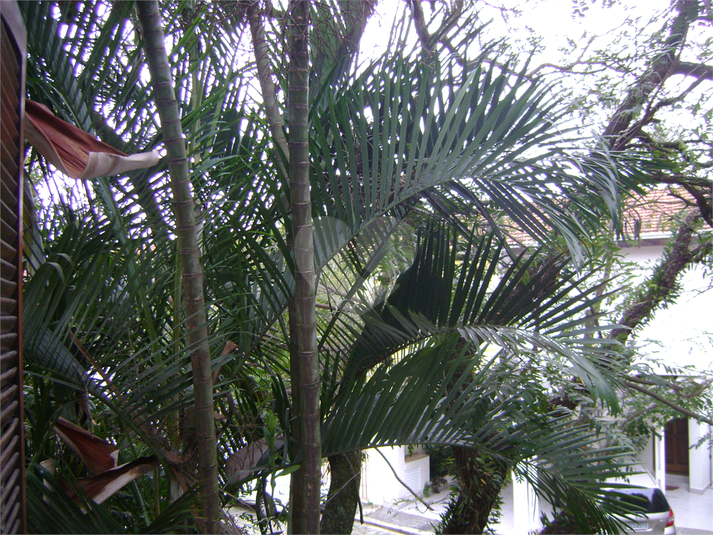 Foto REO715090
