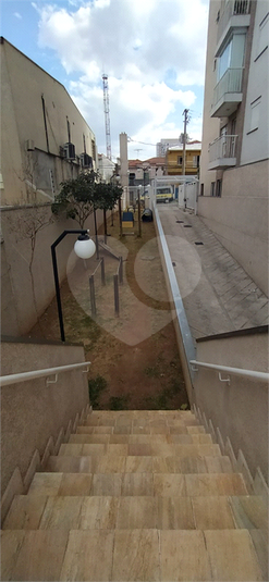 Foto REO715113