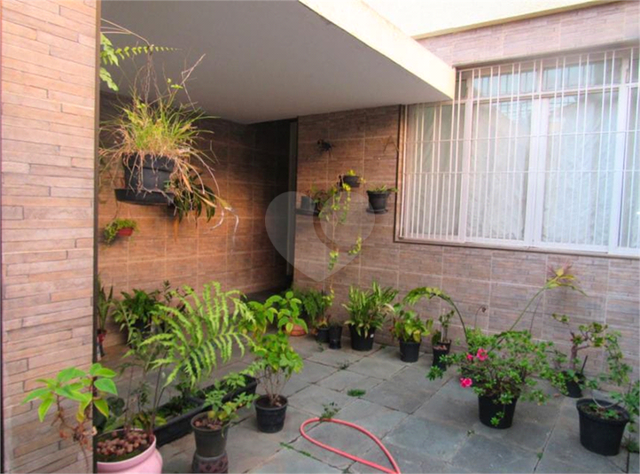 Foto REO715147