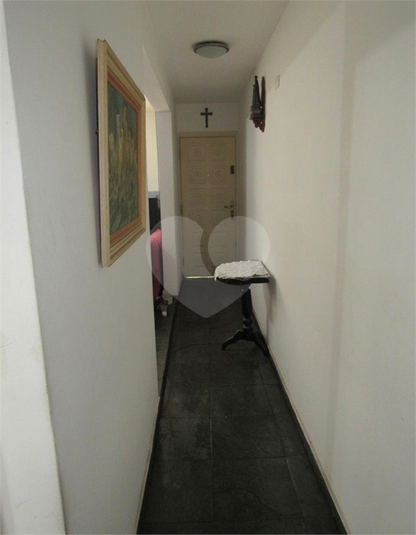 Foto REO715147
