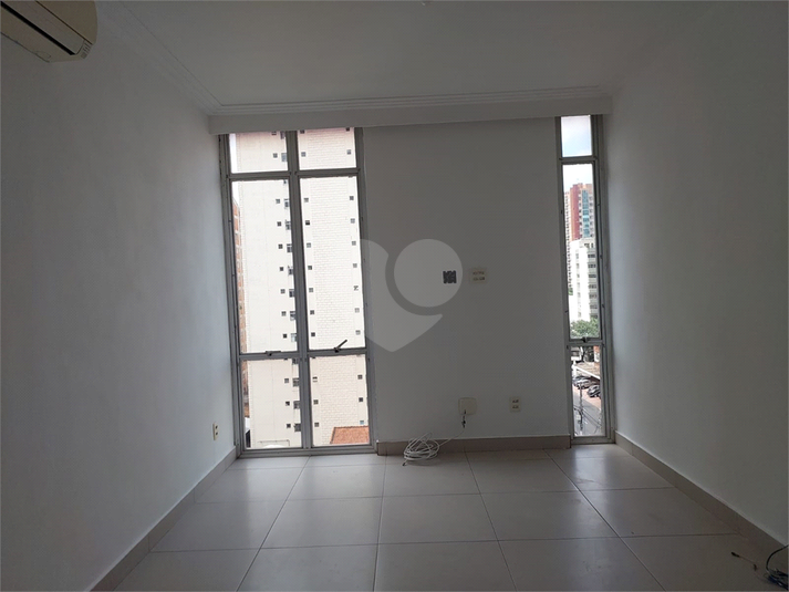 Foto REO71533