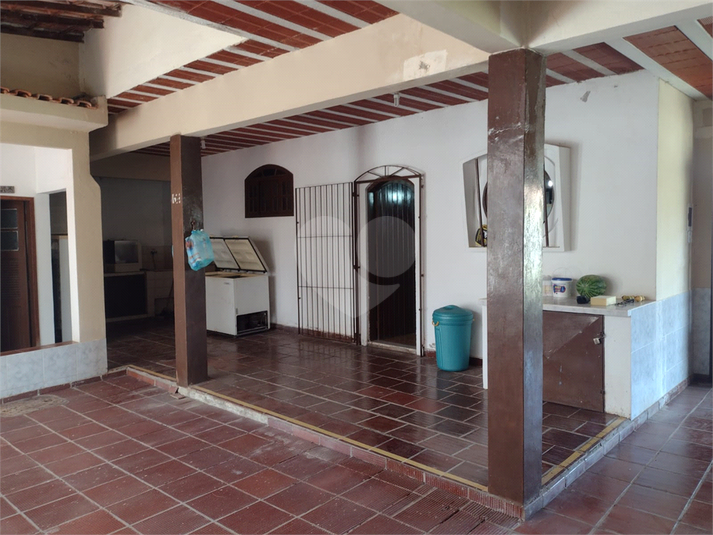 Foto REO715643