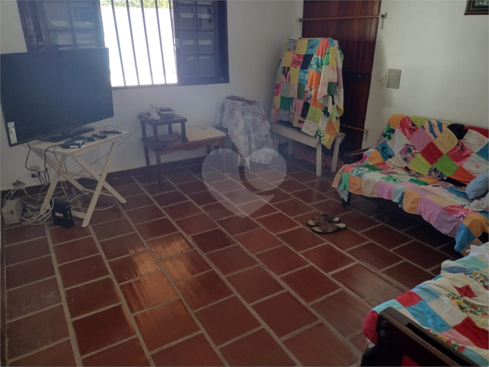 Foto REO715643