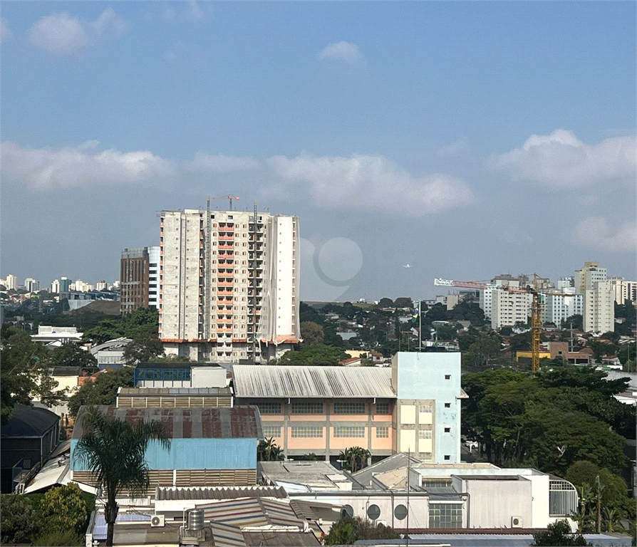 Aluguel Apartamento São Paulo Indianópolis REO716294 3