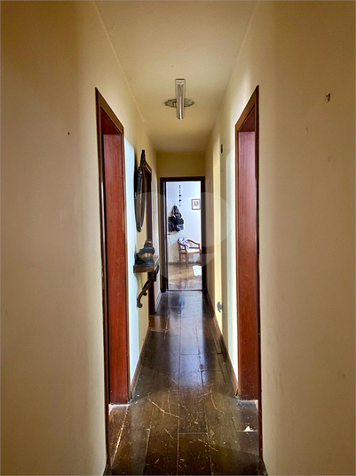 Foto REO716554