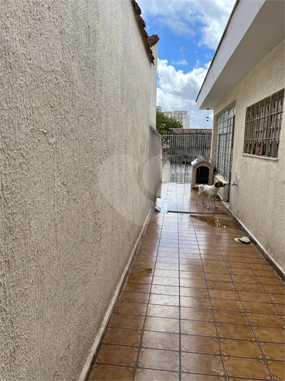 Venda Casa térrea São Paulo Vila Antonieta REO717545 11