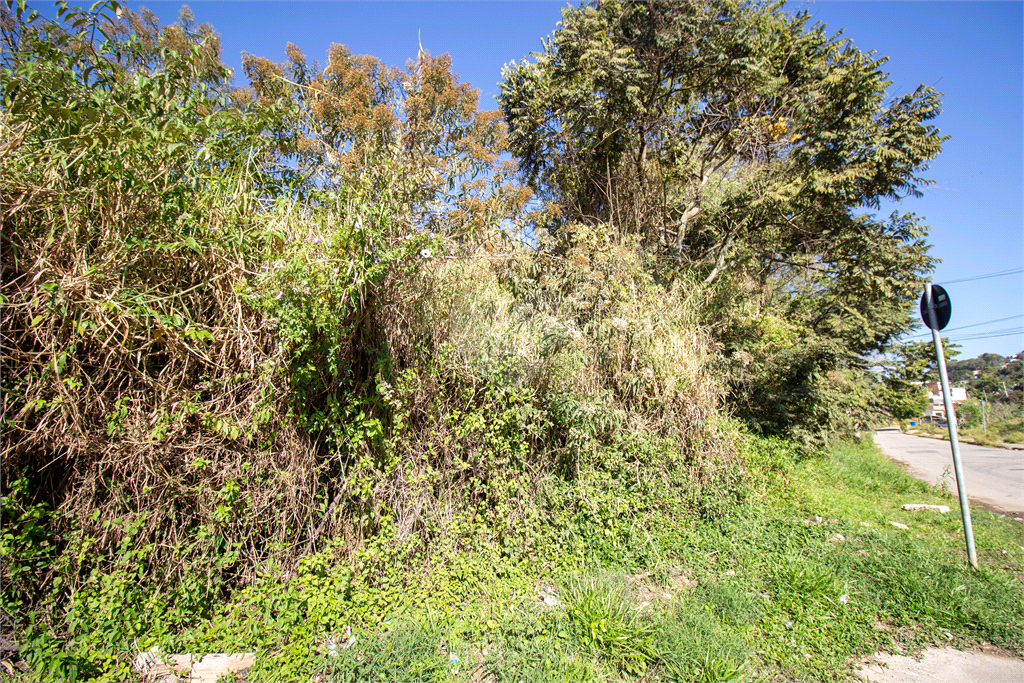 Venda Terreno São Roque Paisagem Colonial REO717640 3