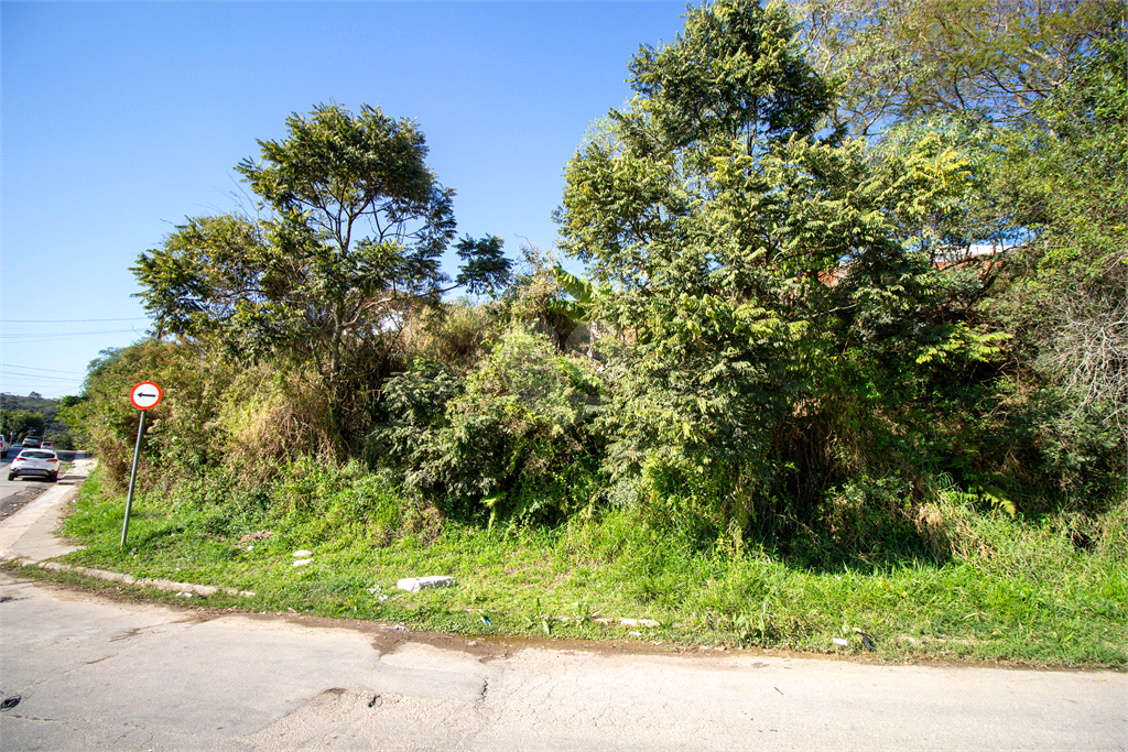 Venda Terreno São Roque Paisagem Colonial REO717640 6